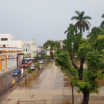 Photograph of a street with colorful buildings and tropical trees.