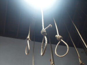 Photograph of rope nooses hanging from ceiling rafters.