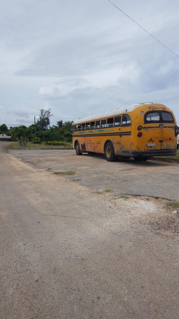 Photograph of an old yellow school bus parked on the side of a road.